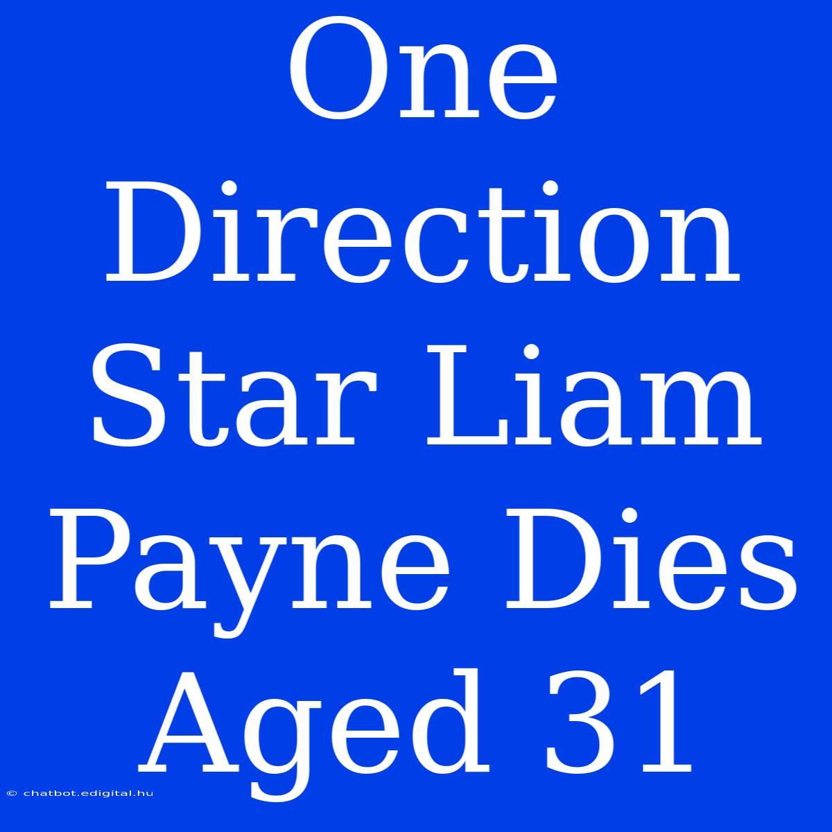 One Direction Star Liam Payne Dies Aged 31