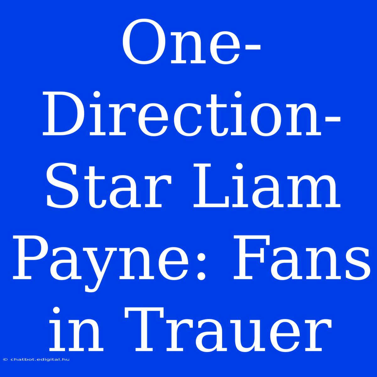 One-Direction-Star Liam Payne: Fans In Trauer