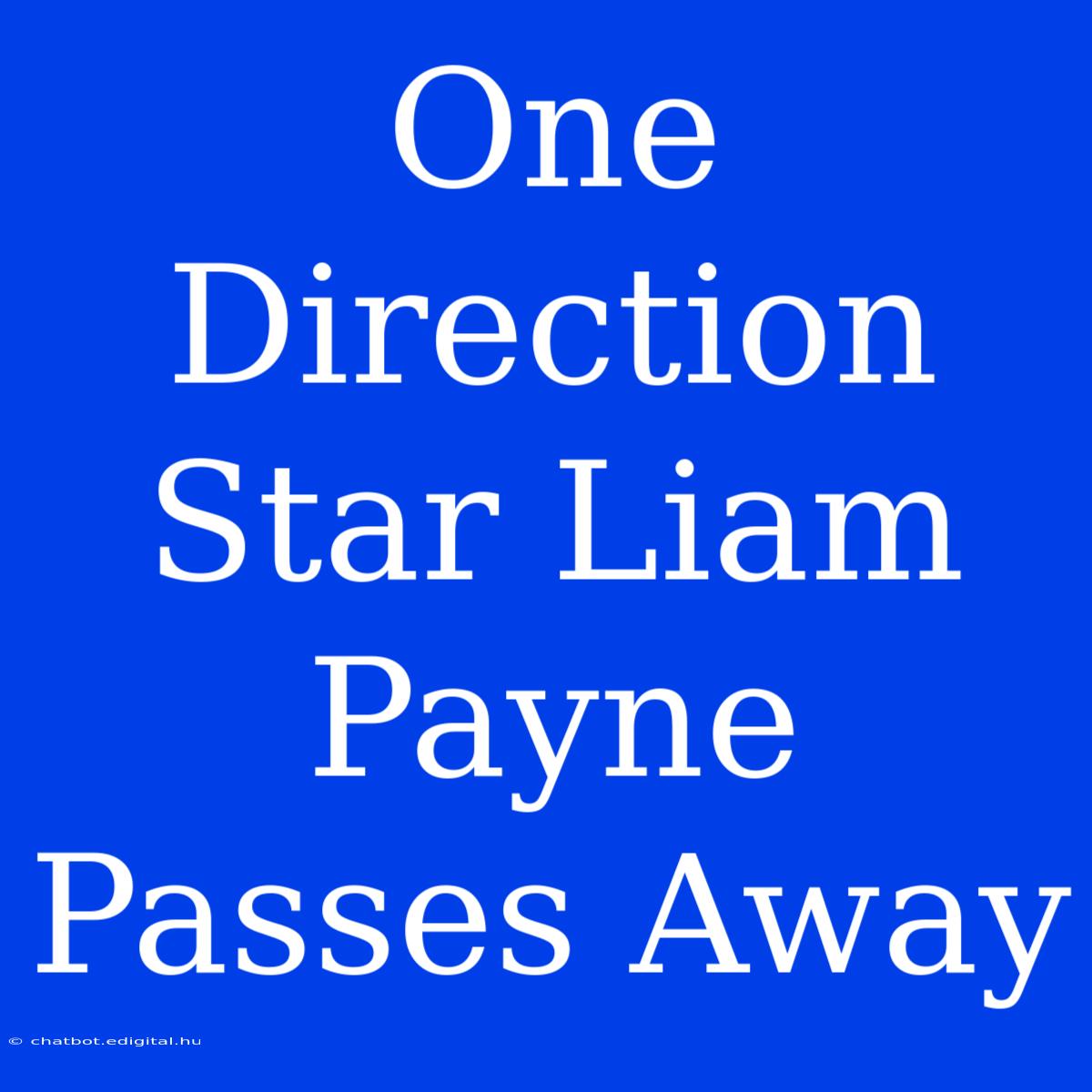 One Direction Star Liam Payne Passes Away 