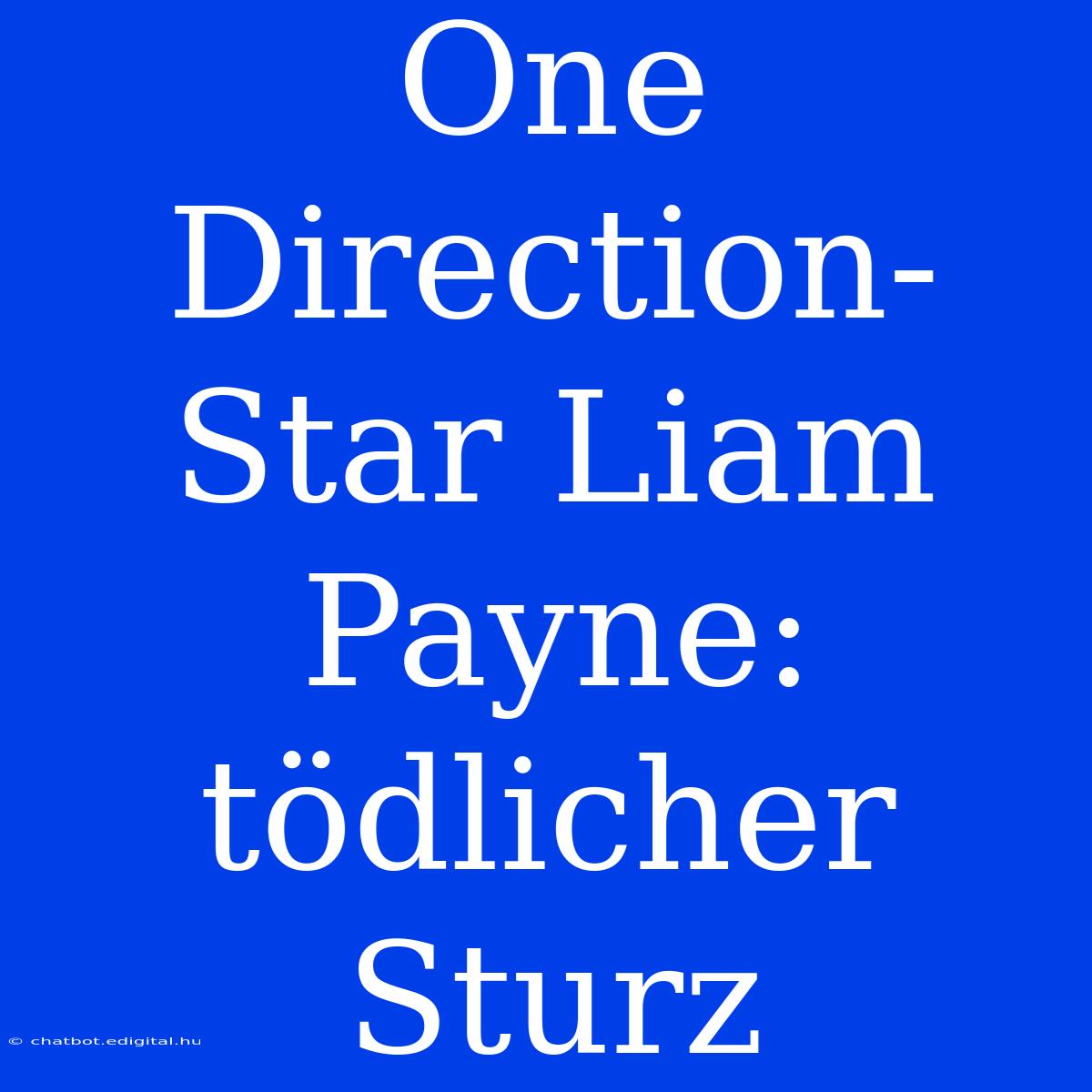 One Direction-Star Liam Payne: Tödlicher Sturz