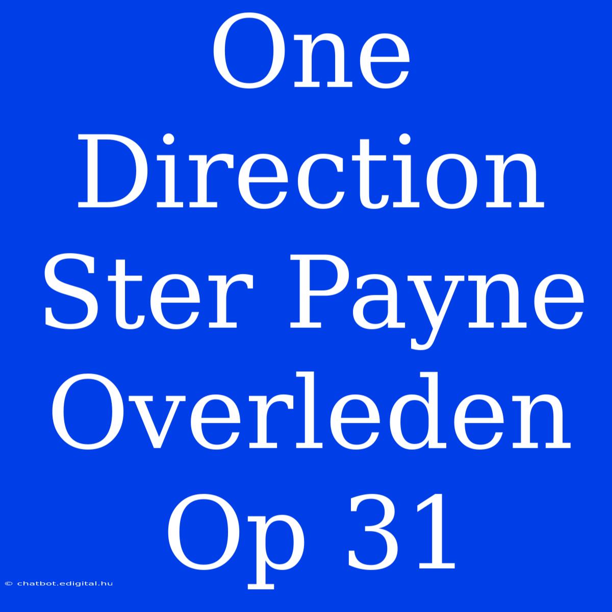 One Direction Ster Payne Overleden Op 31