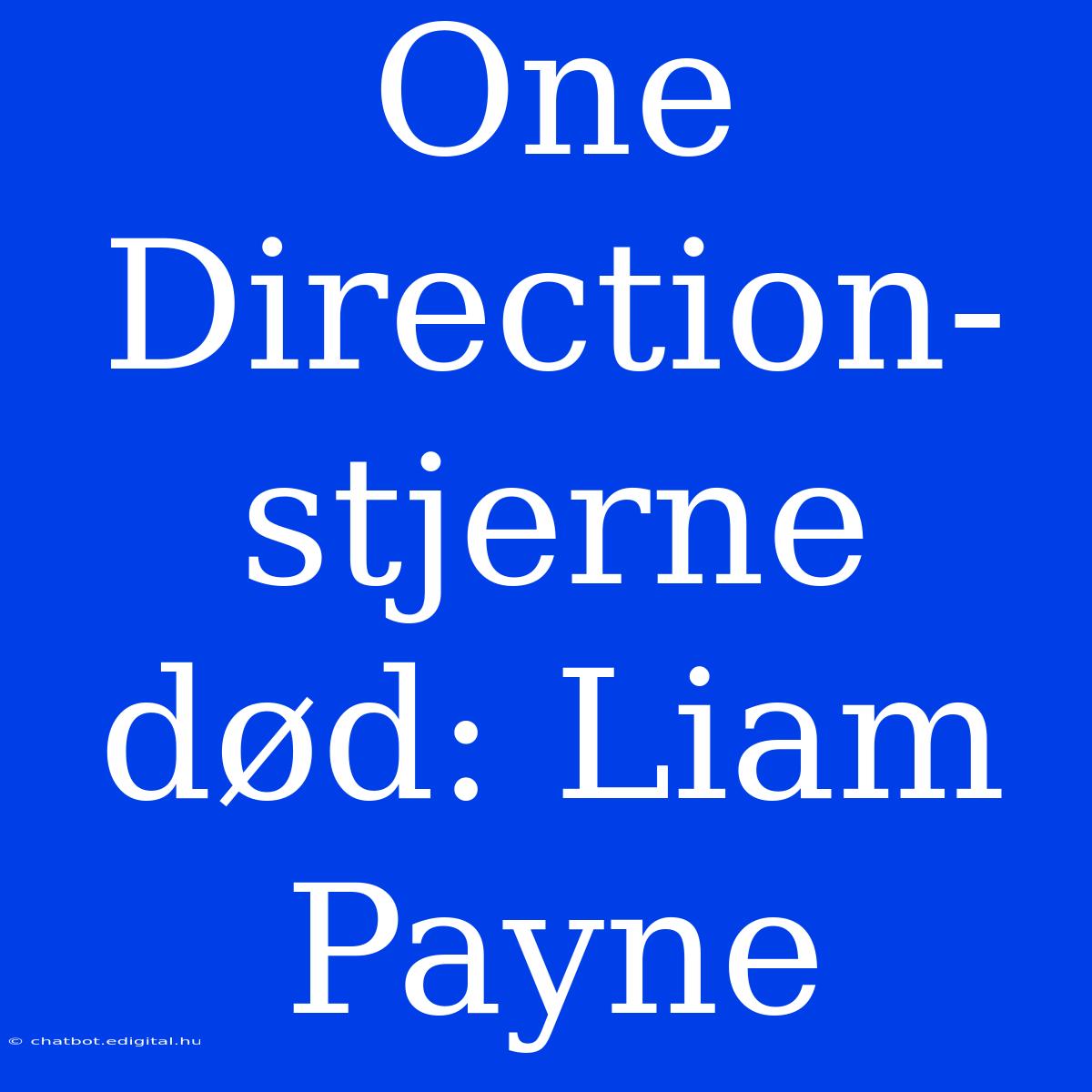 One Direction-stjerne Død: Liam Payne