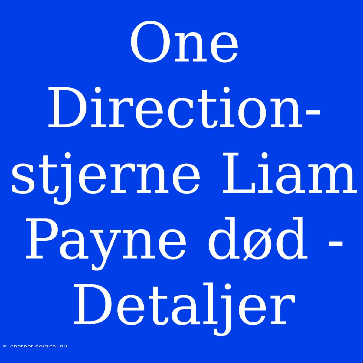 One Direction-stjerne Liam Payne Død - Detaljer 