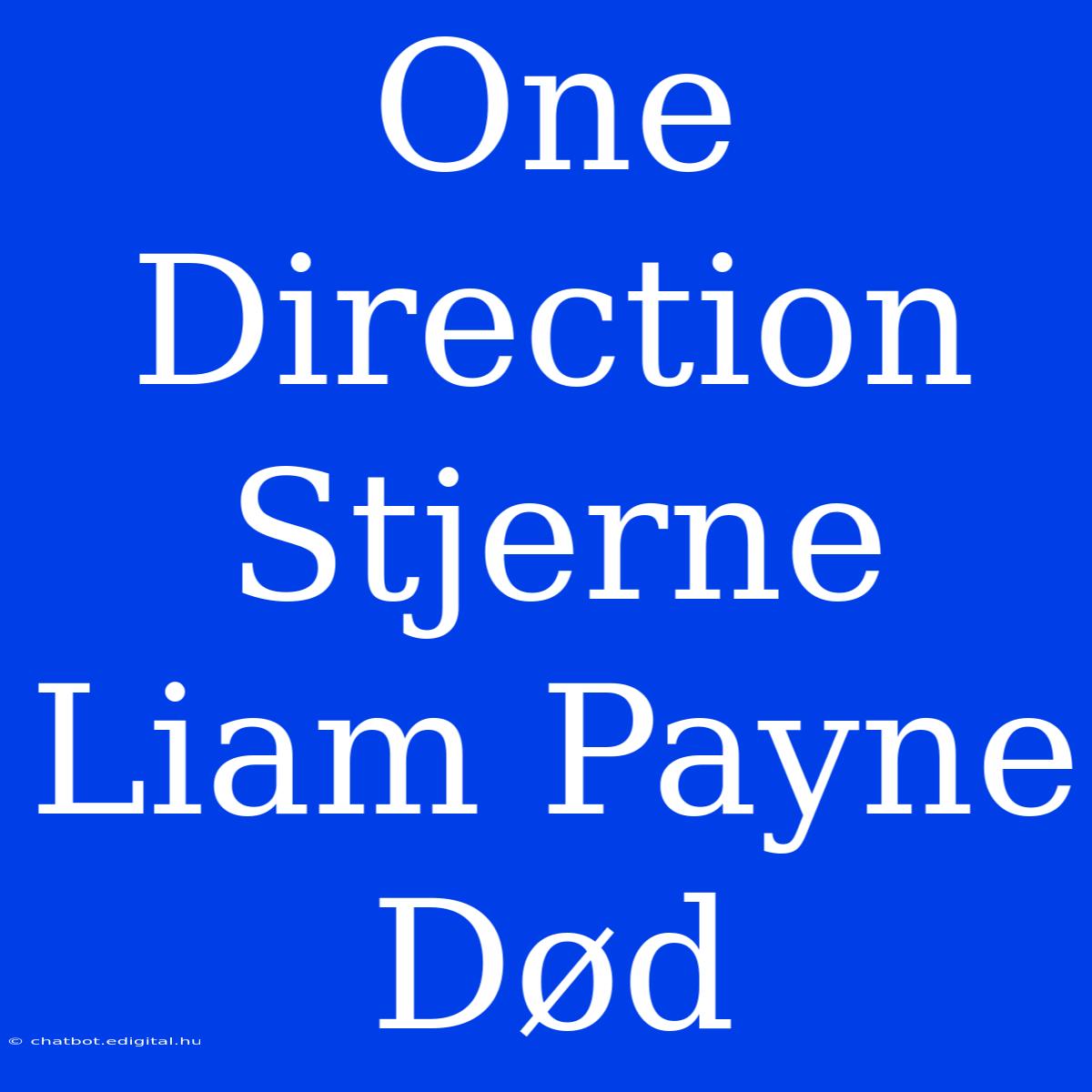 One Direction Stjerne Liam Payne Død