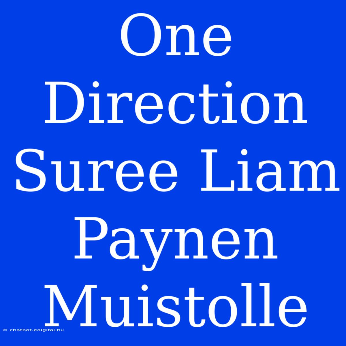 One Direction Suree Liam Paynen Muistolle 