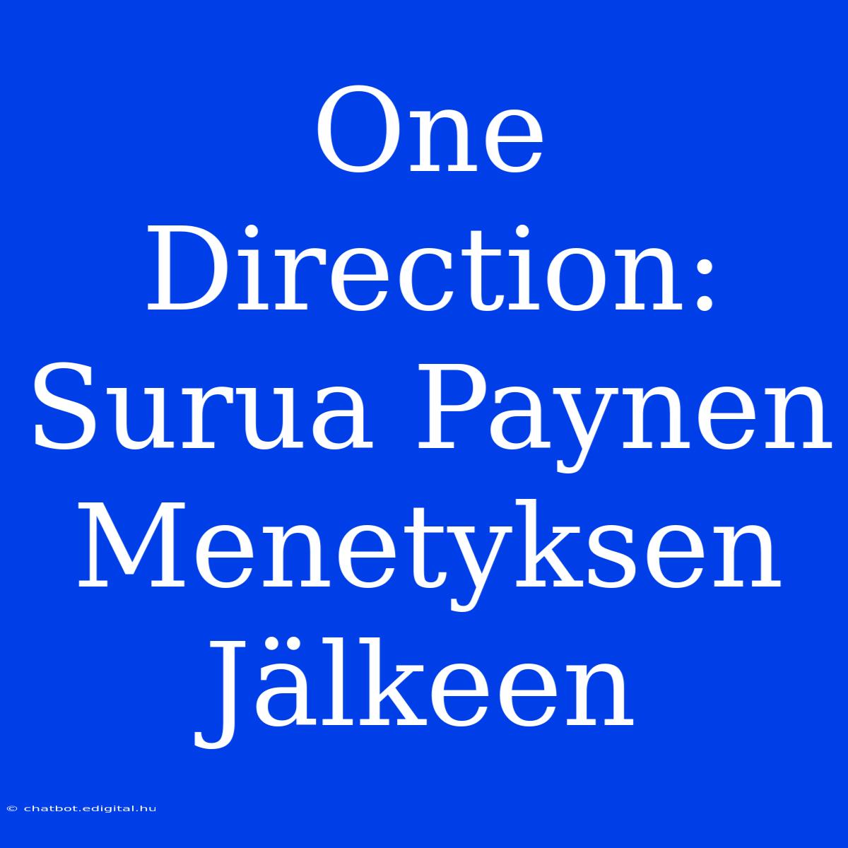 One Direction: Surua Paynen Menetyksen Jälkeen