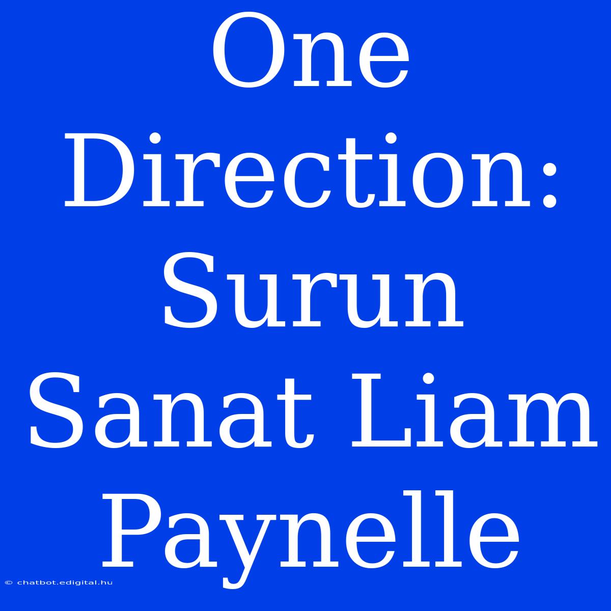 One Direction: Surun Sanat Liam Paynelle