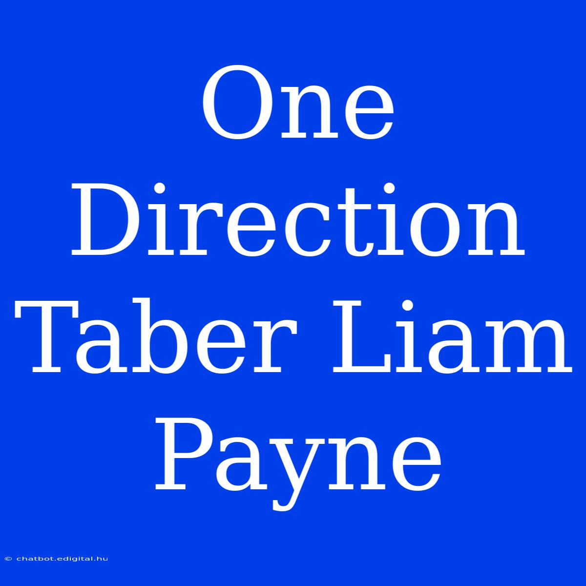 One Direction Taber Liam Payne