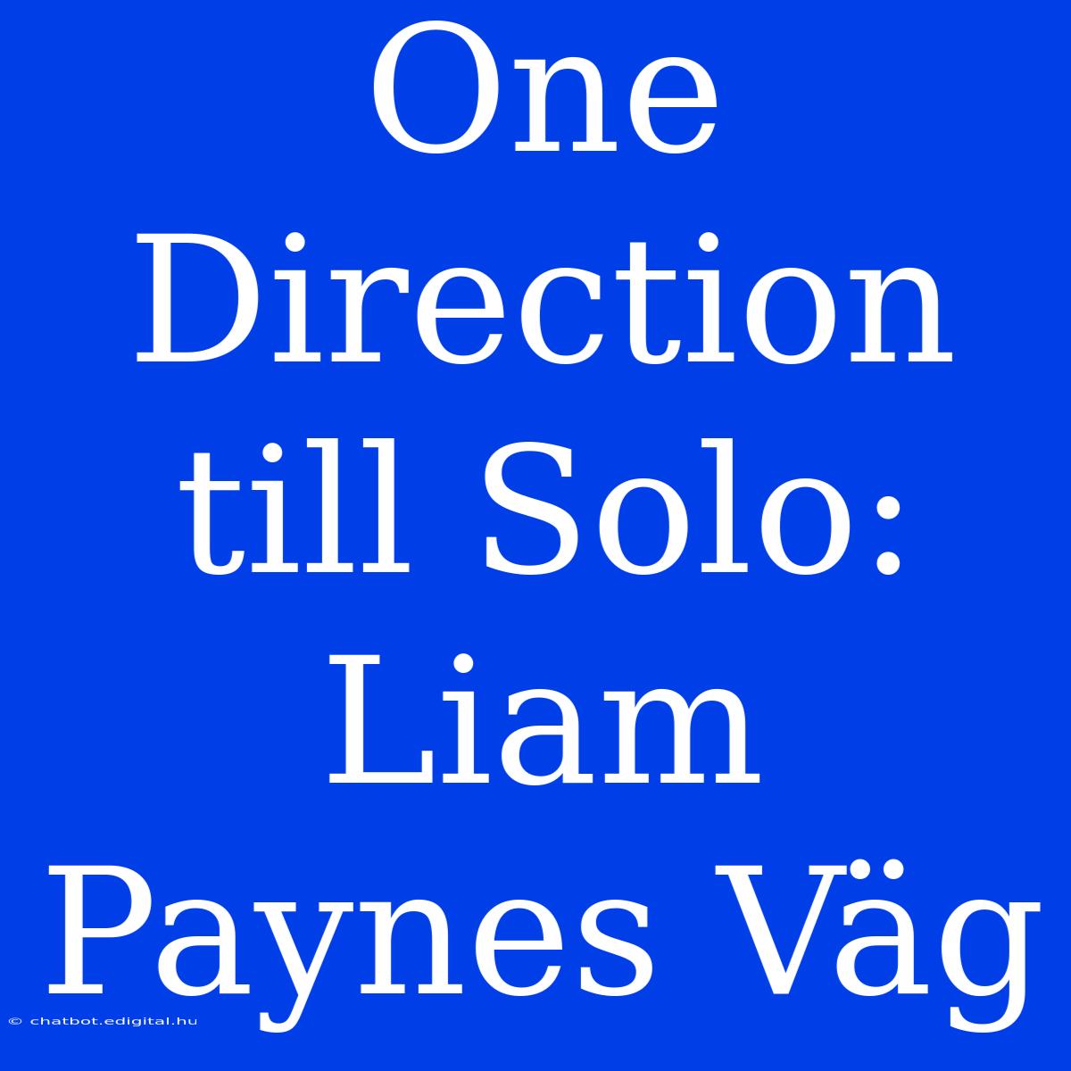 One Direction Till Solo: Liam Paynes Väg