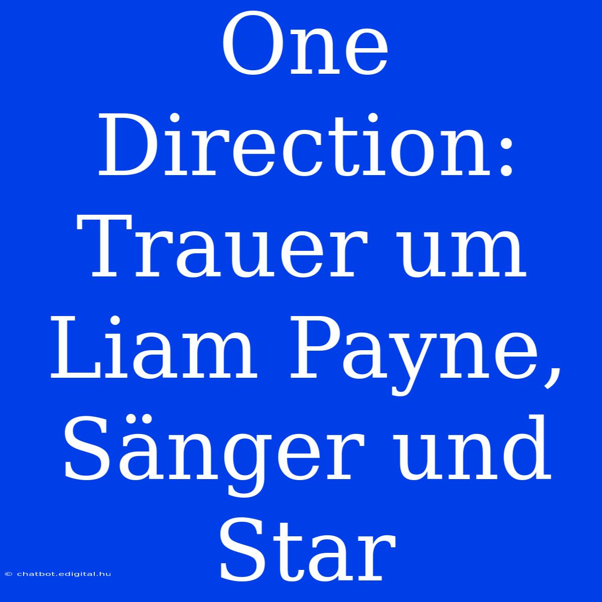 One Direction: Trauer Um Liam Payne, Sänger Und Star