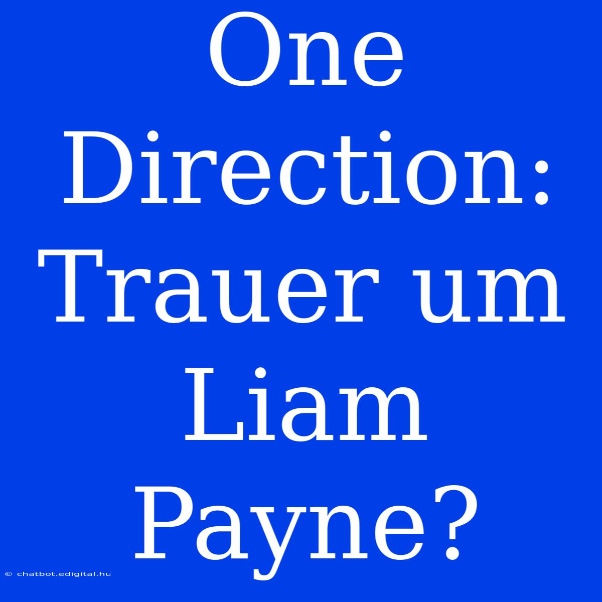 One Direction: Trauer Um Liam Payne?