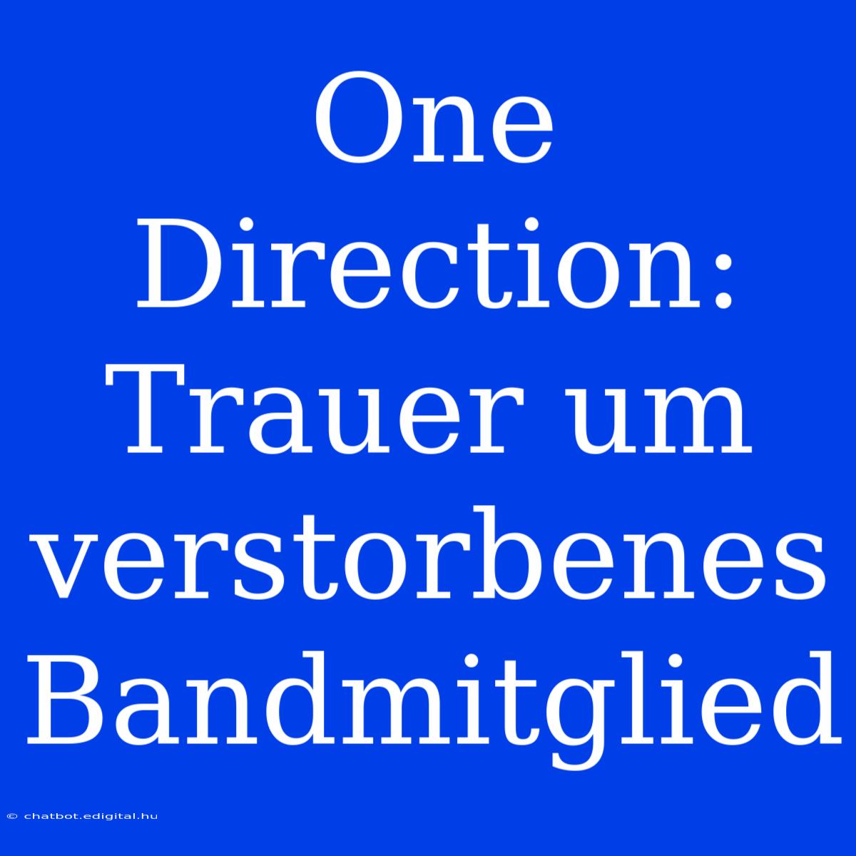 One Direction: Trauer Um Verstorbenes Bandmitglied