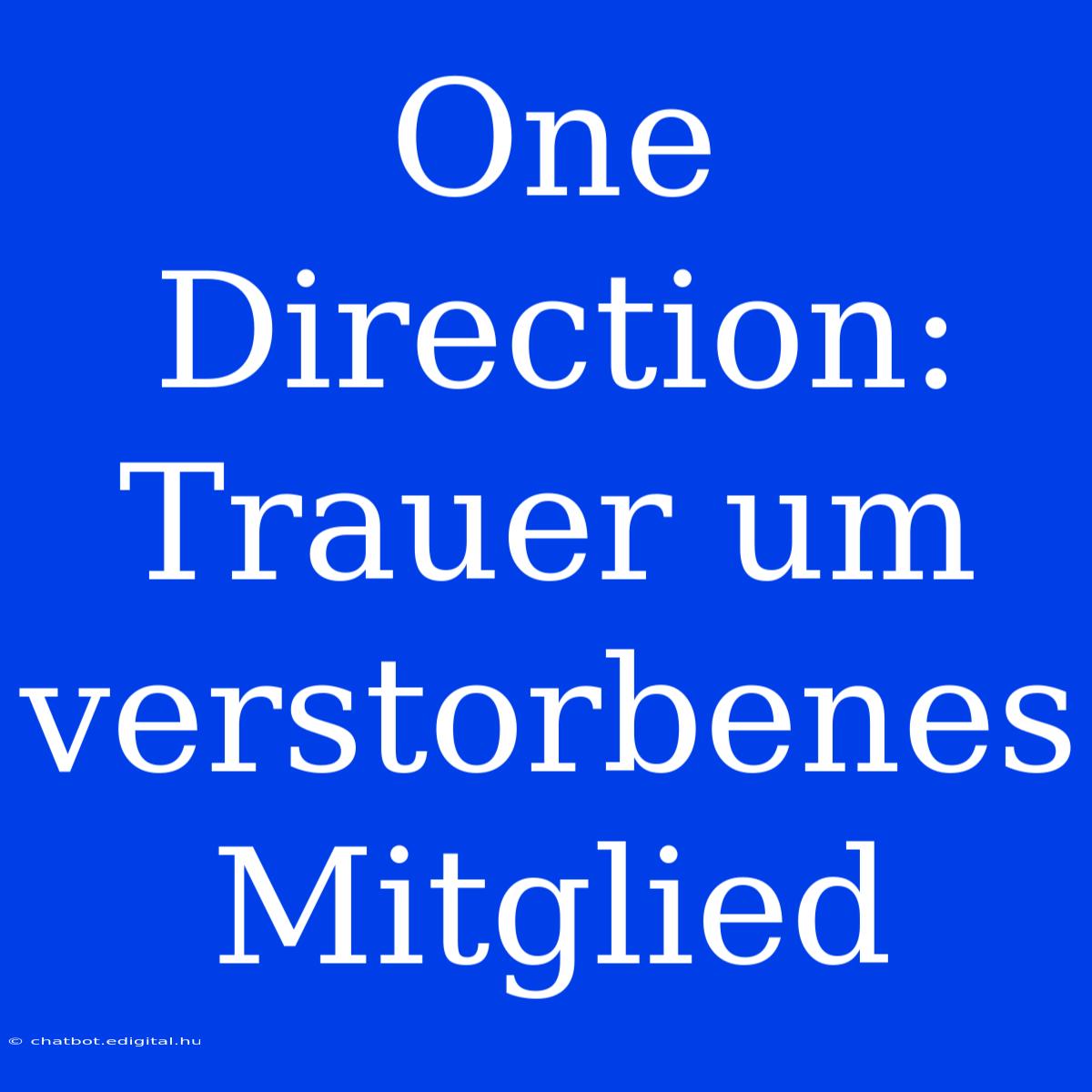 One Direction:  Trauer Um Verstorbenes Mitglied