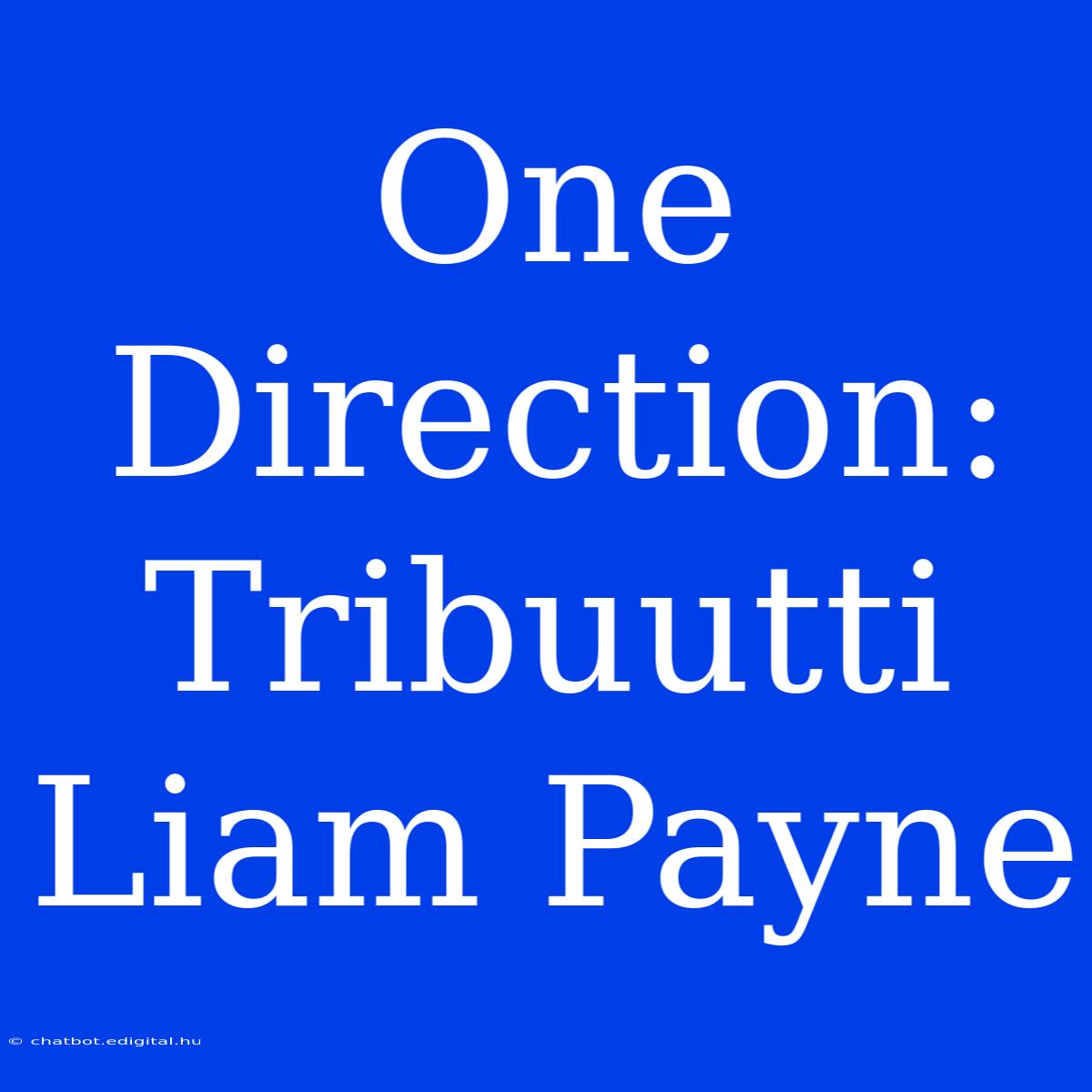 One Direction: Tribuutti Liam Payne 