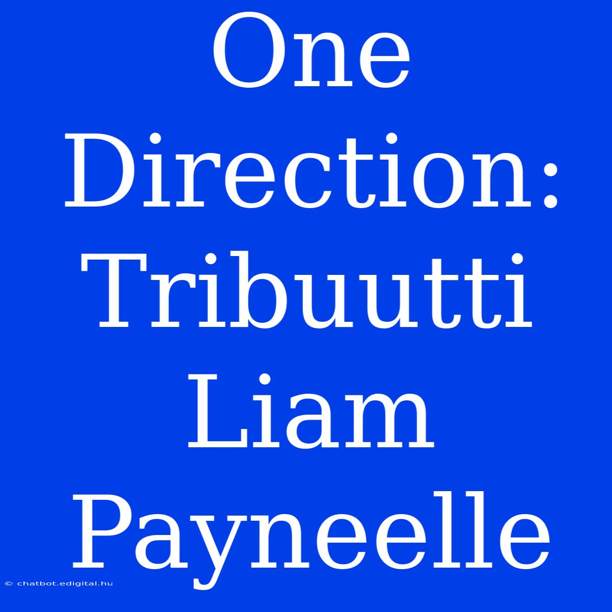 One Direction: Tribuutti Liam Payneelle