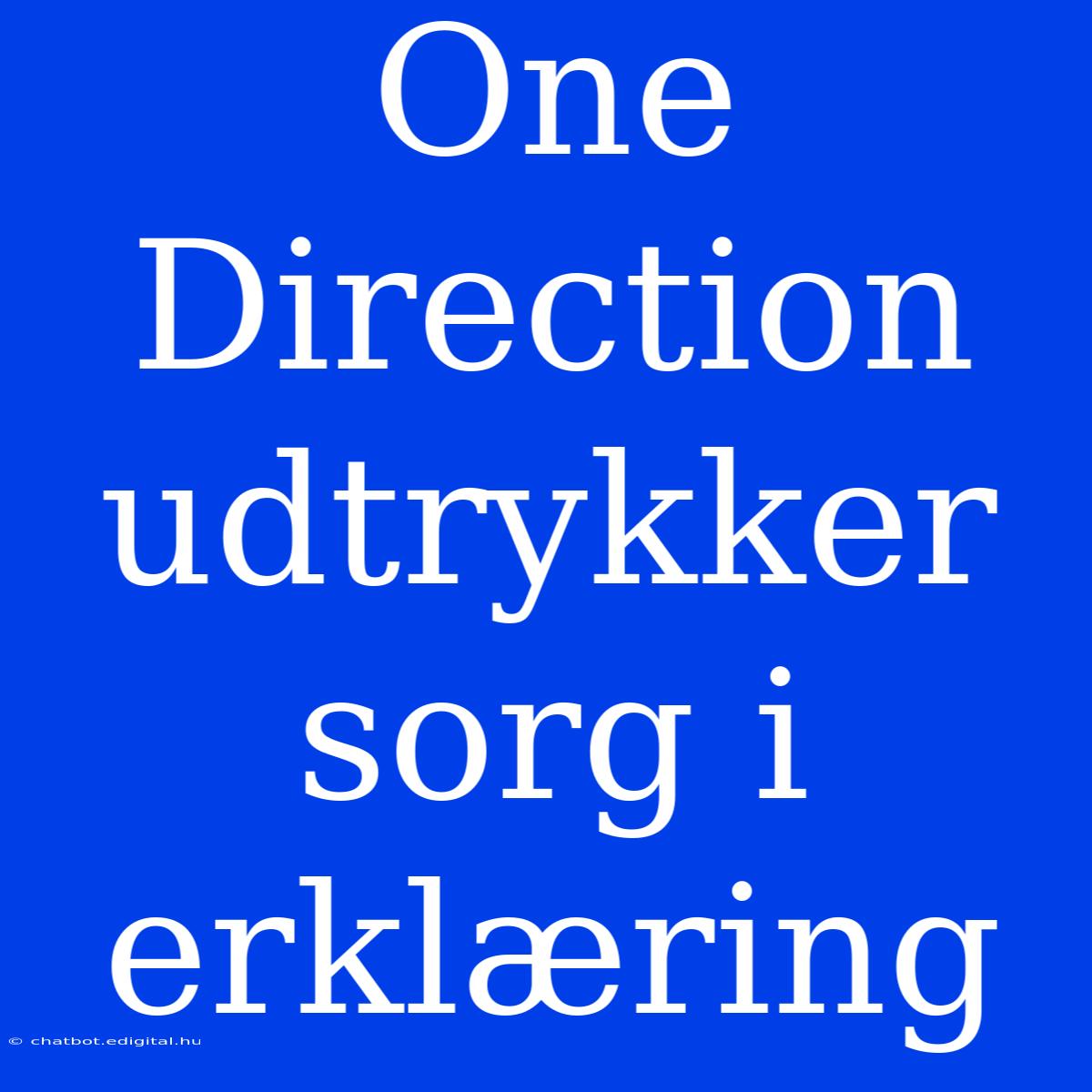 One Direction Udtrykker Sorg I Erklæring