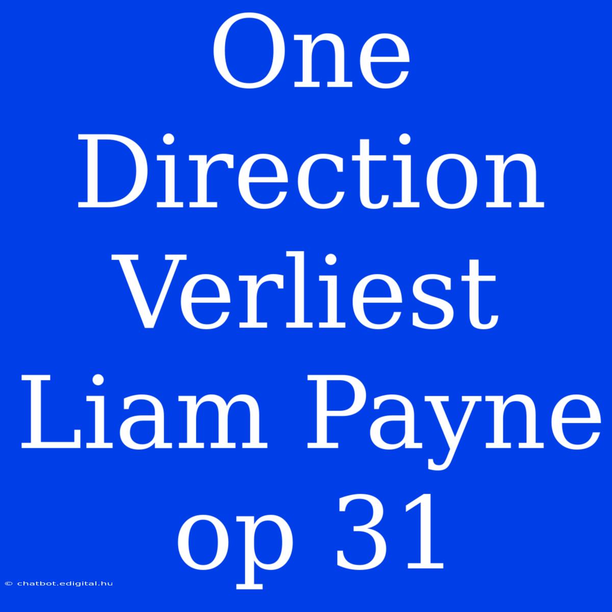 One Direction Verliest Liam Payne Op 31