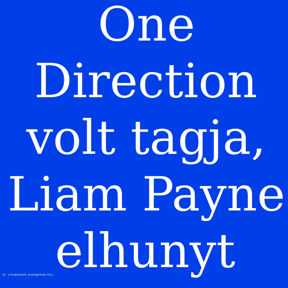 One Direction Volt Tagja, Liam Payne Elhunyt