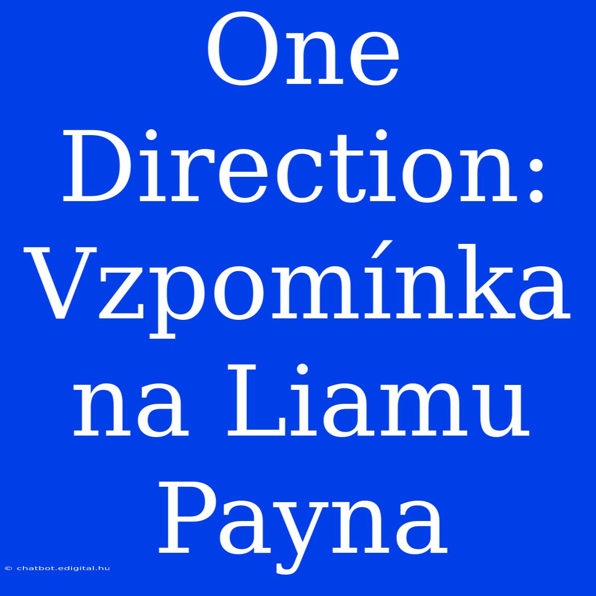 One Direction: Vzpomínka Na Liamu Payna