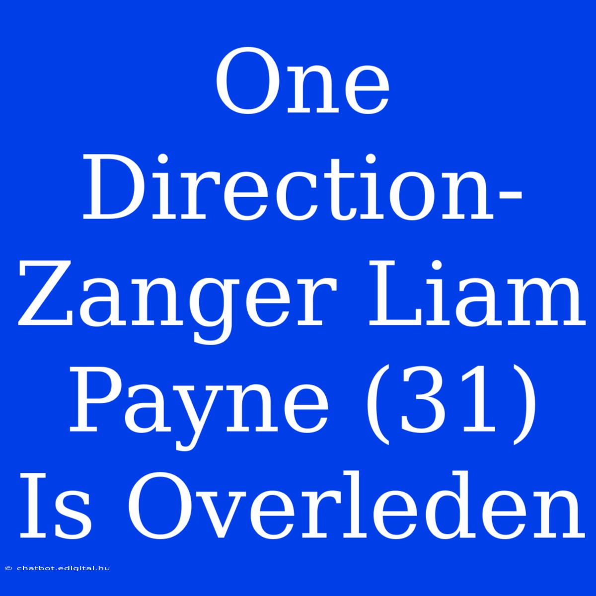 One Direction-Zanger Liam Payne (31) Is Overleden