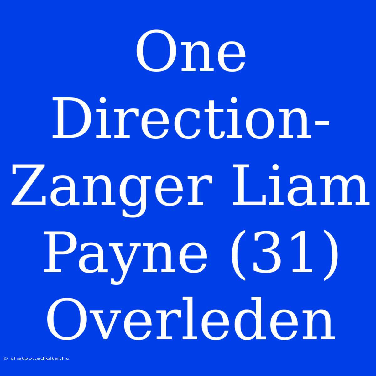 One Direction-Zanger Liam Payne (31) Overleden