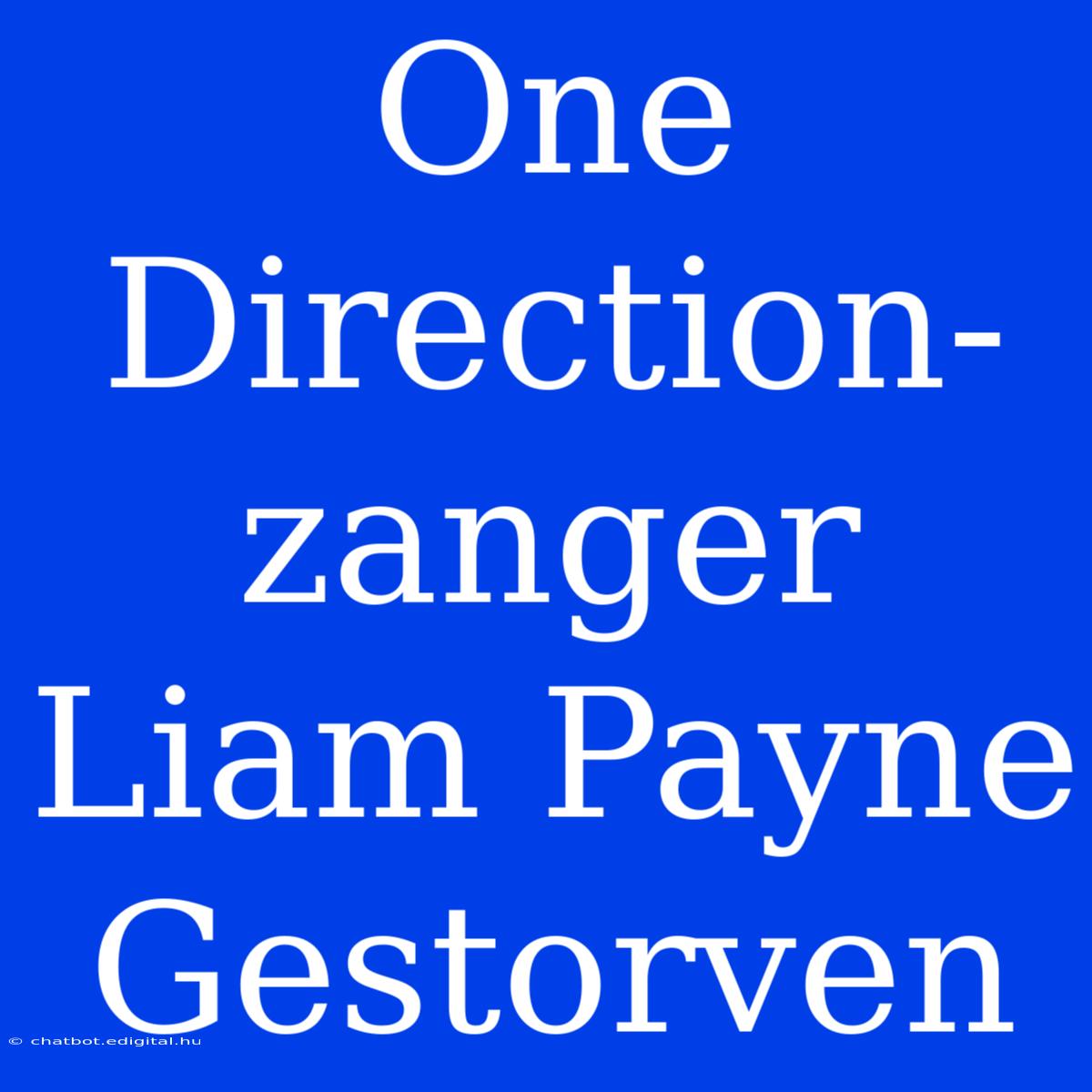 One Direction-zanger Liam Payne Gestorven