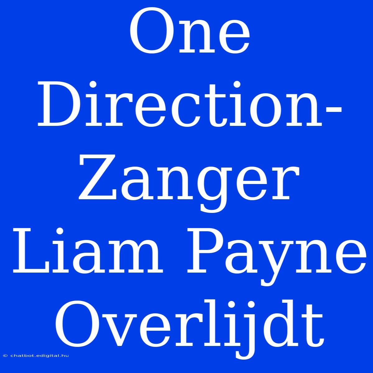 One Direction-Zanger Liam Payne Overlijdt