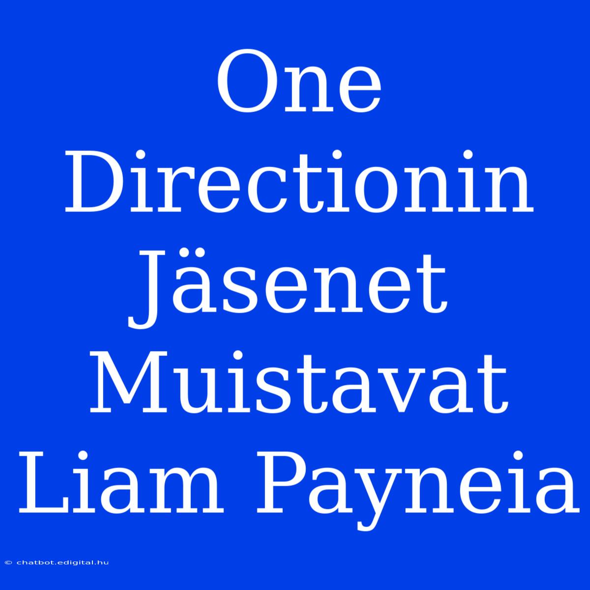 One Directionin Jäsenet Muistavat Liam Payneia