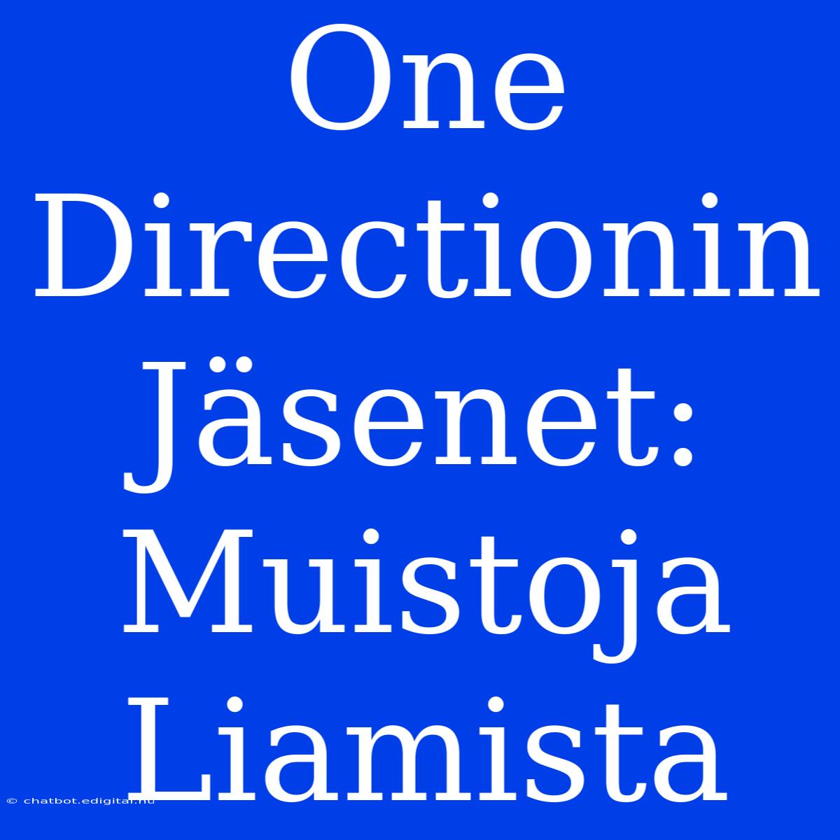 One Directionin Jäsenet: Muistoja Liamista