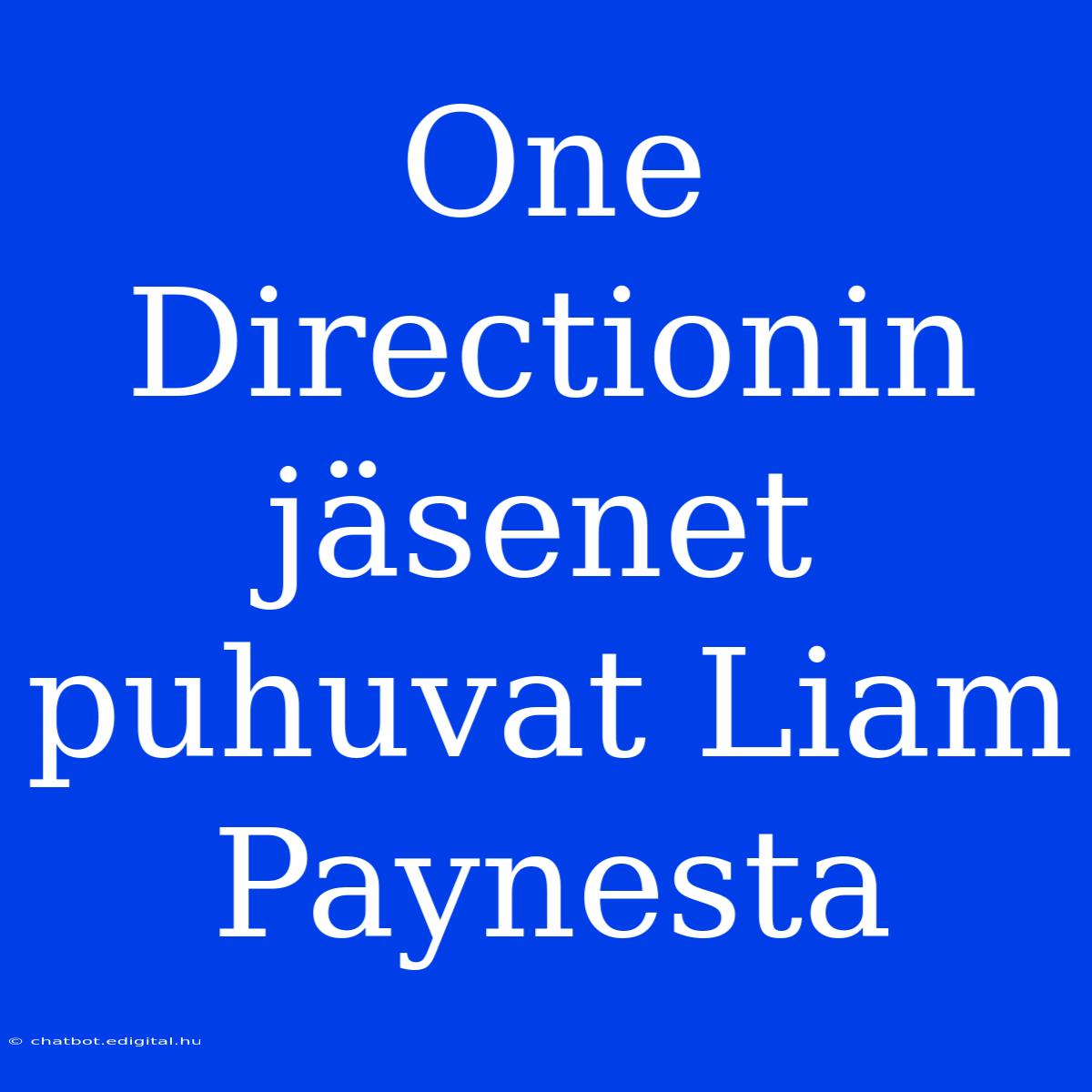 One Directionin Jäsenet Puhuvat Liam Paynesta