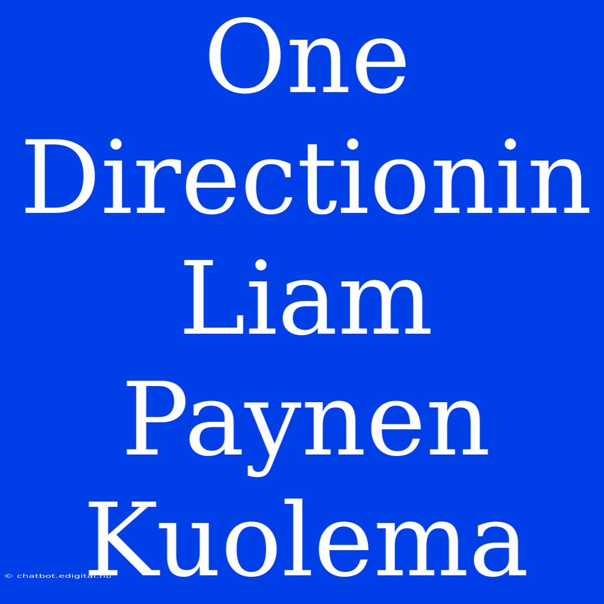 One Directionin Liam Paynen Kuolema