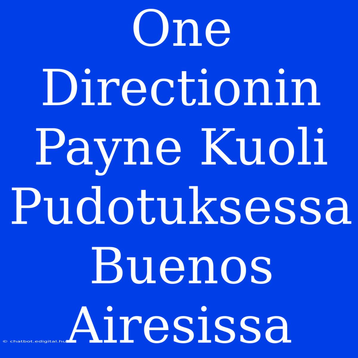 One Directionin Payne Kuoli Pudotuksessa Buenos Airesissa