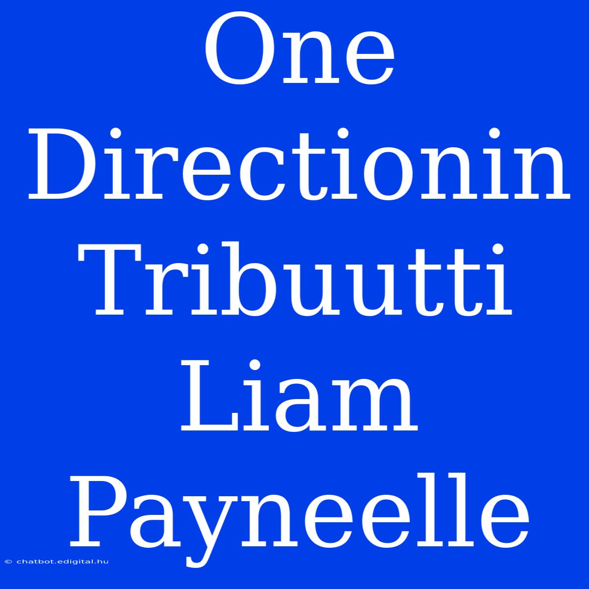 One Directionin Tribuutti Liam Payneelle