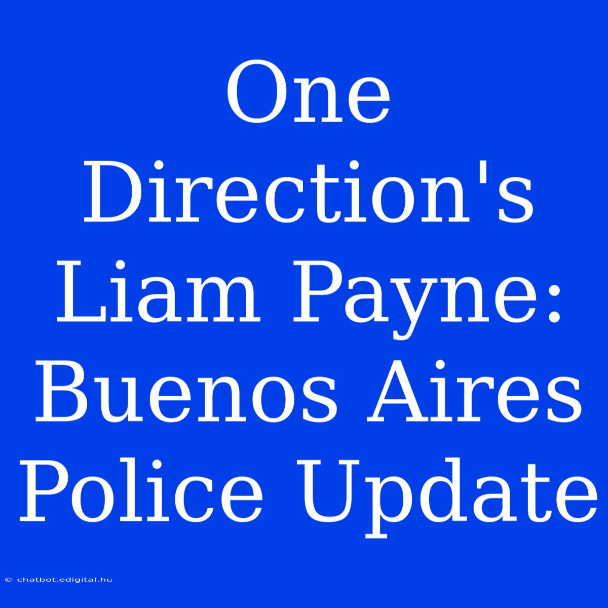 One Direction's Liam Payne: Buenos Aires Police Update