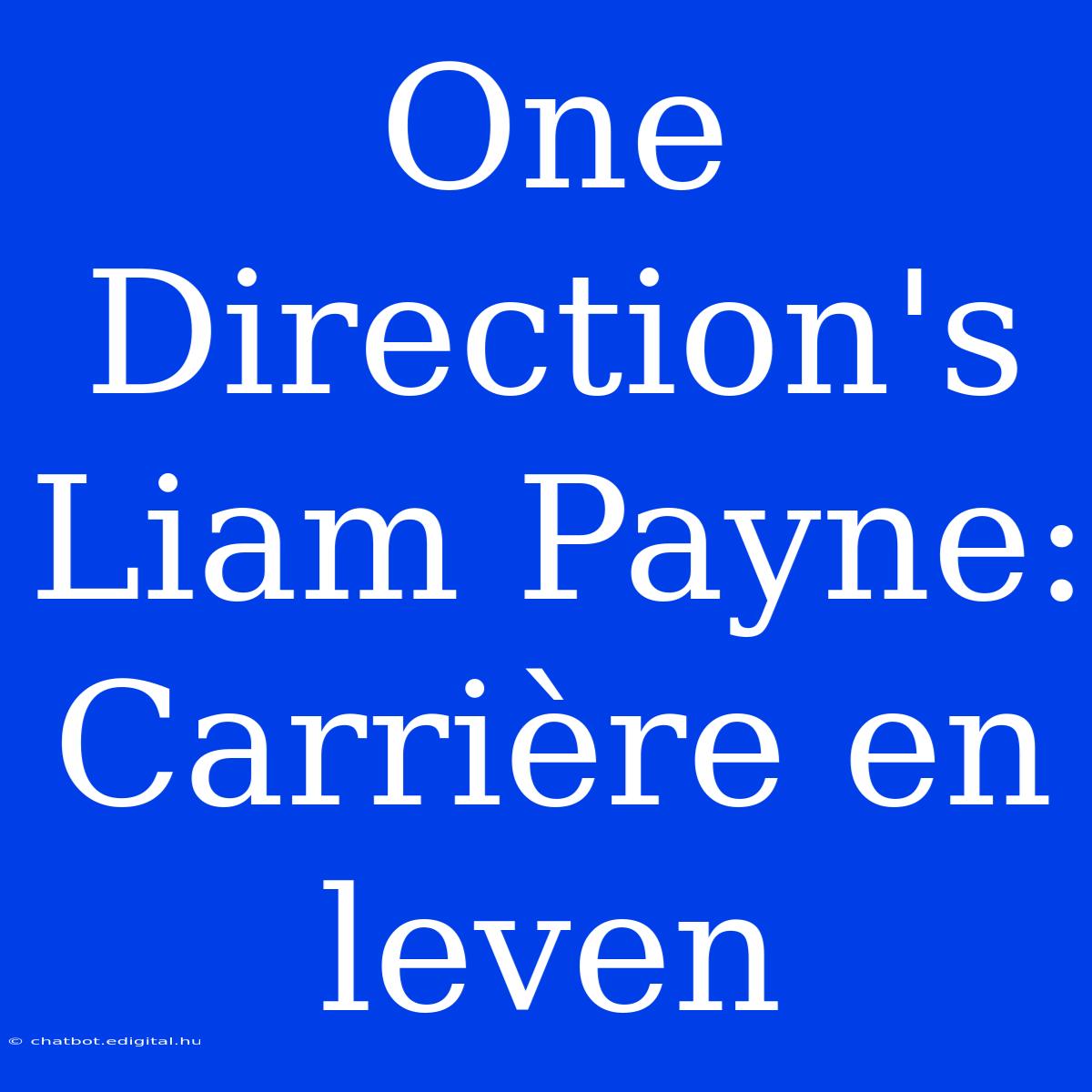 One Direction's Liam Payne: Carrière En Leven