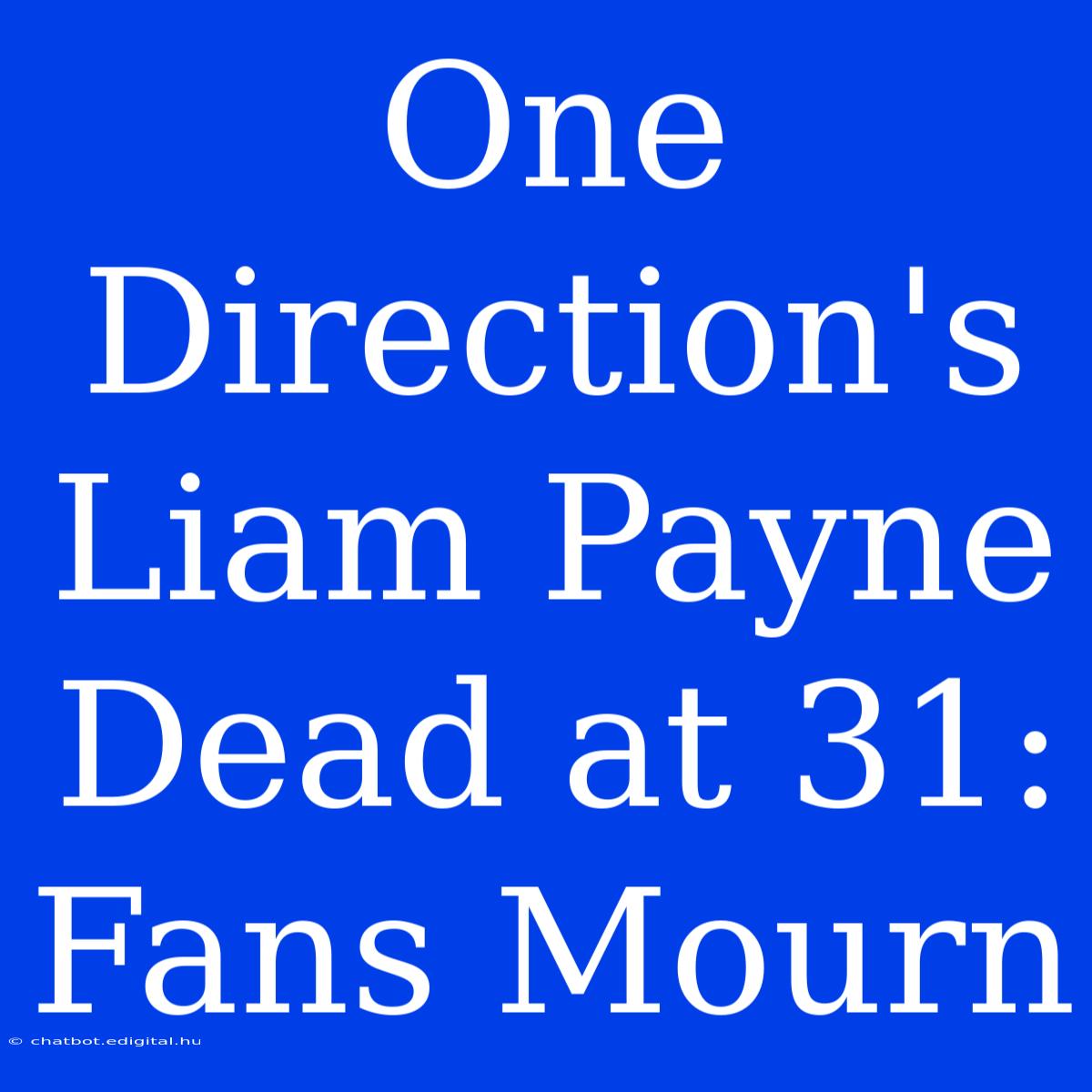 One Direction's Liam Payne Dead At 31: Fans Mourn