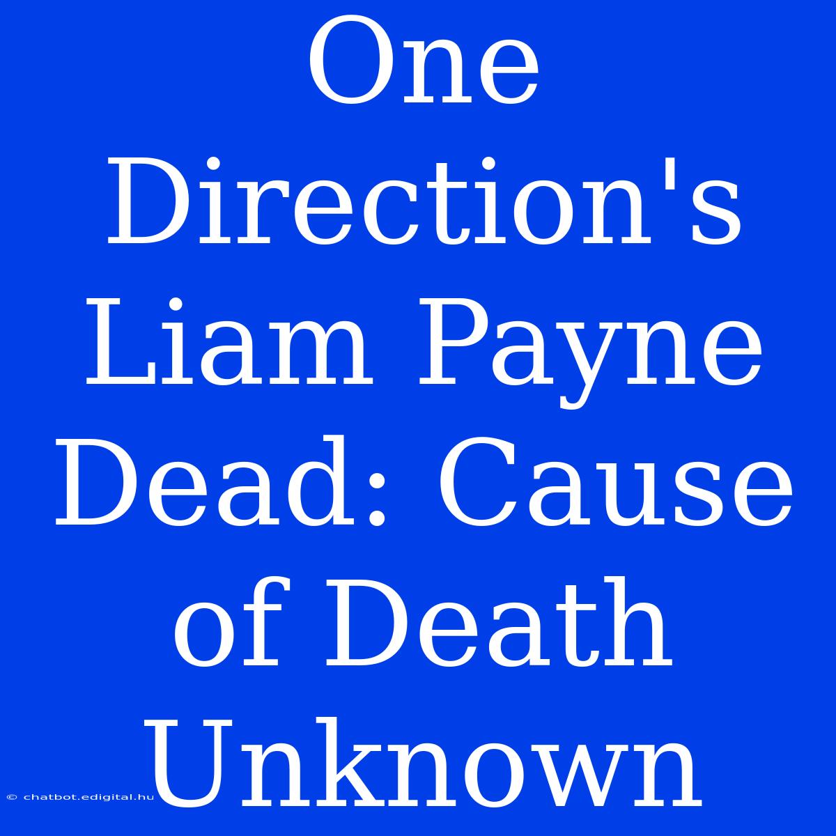 One Direction's Liam Payne Dead: Cause Of Death Unknown