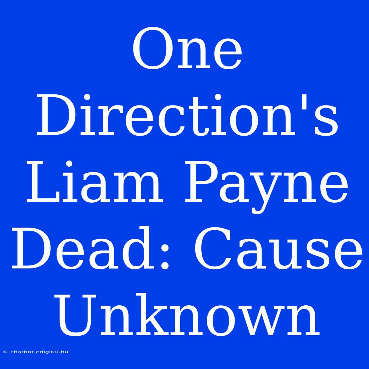 One Direction's Liam Payne Dead: Cause Unknown 