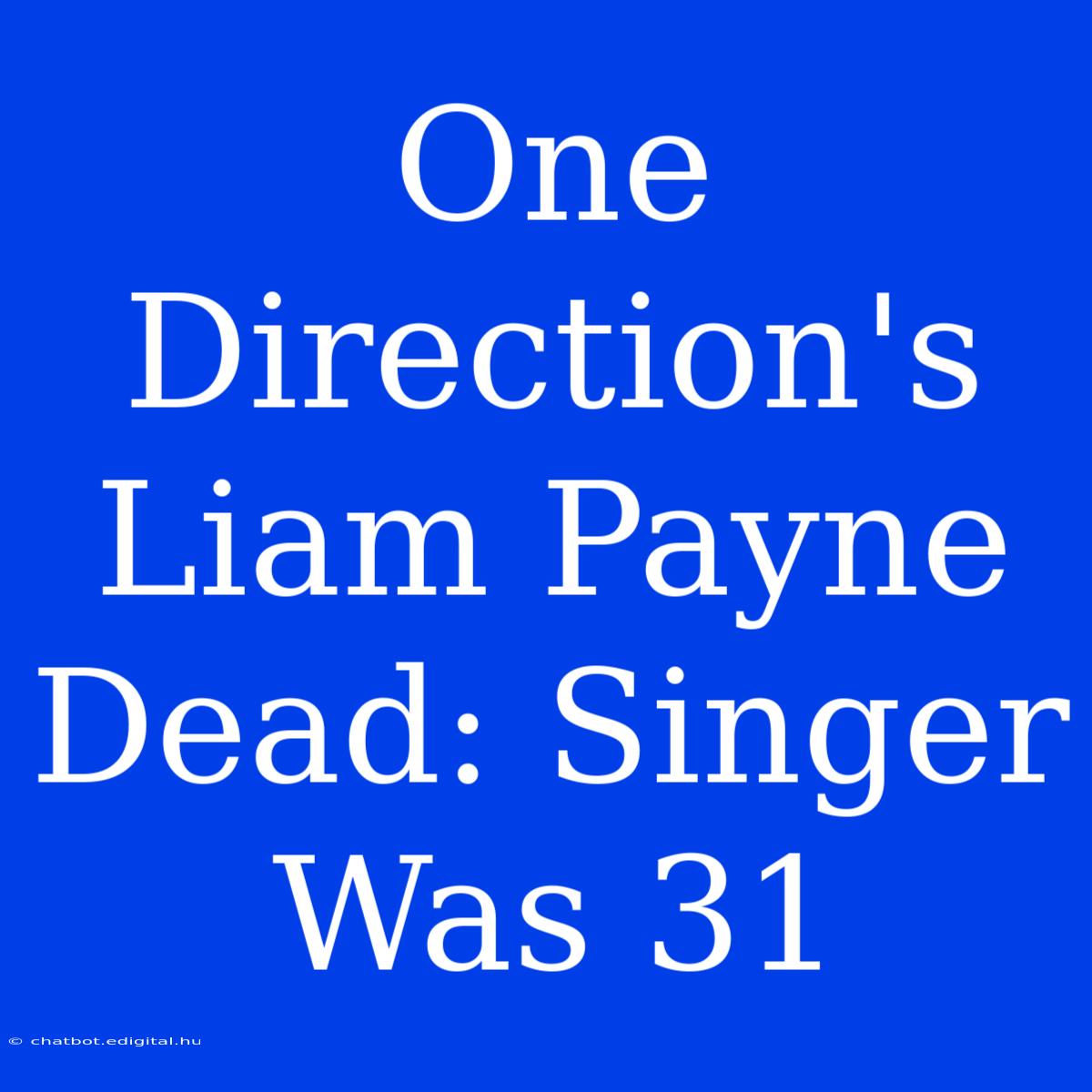 One Direction's Liam Payne Dead: Singer Was 31