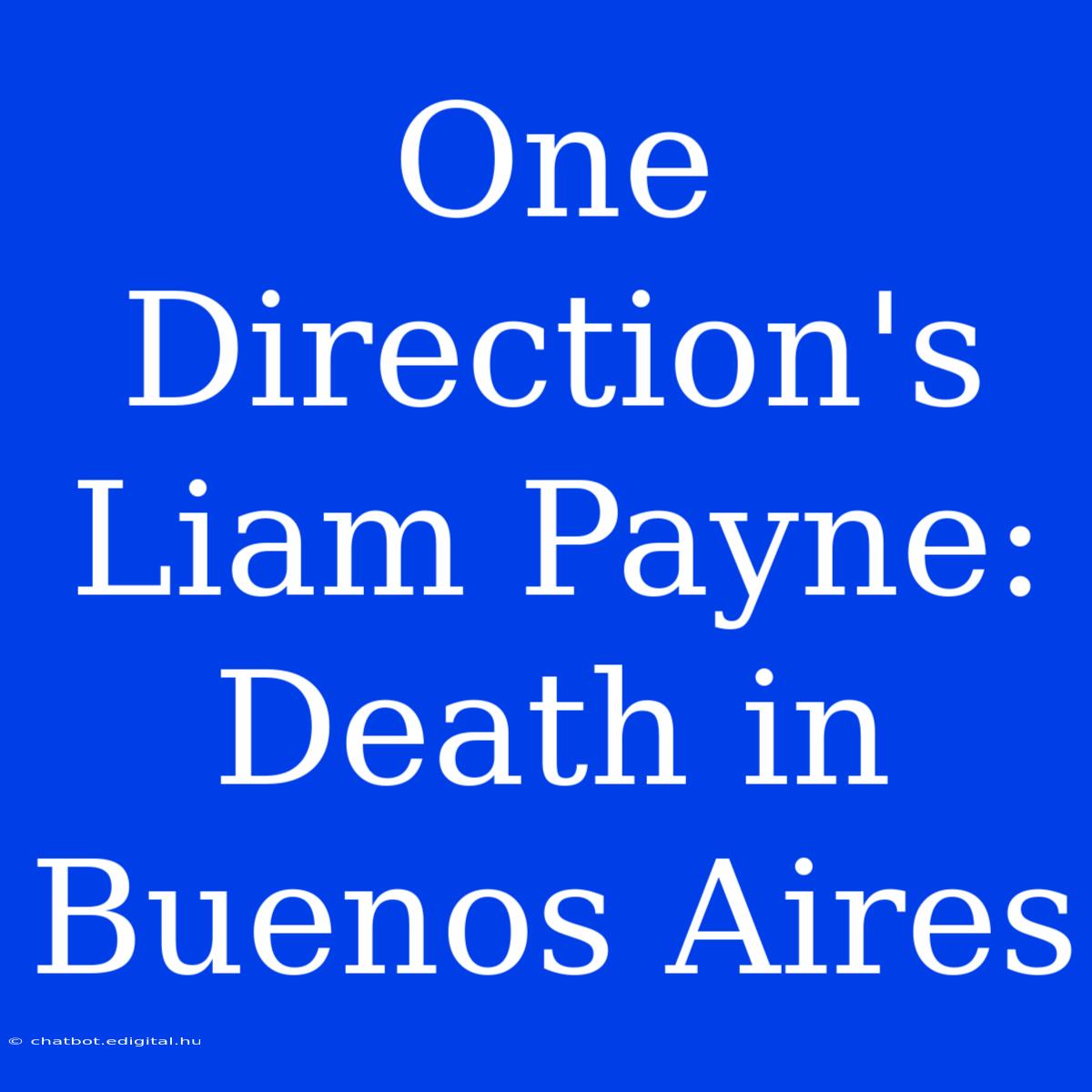 One Direction's Liam Payne: Death In Buenos Aires