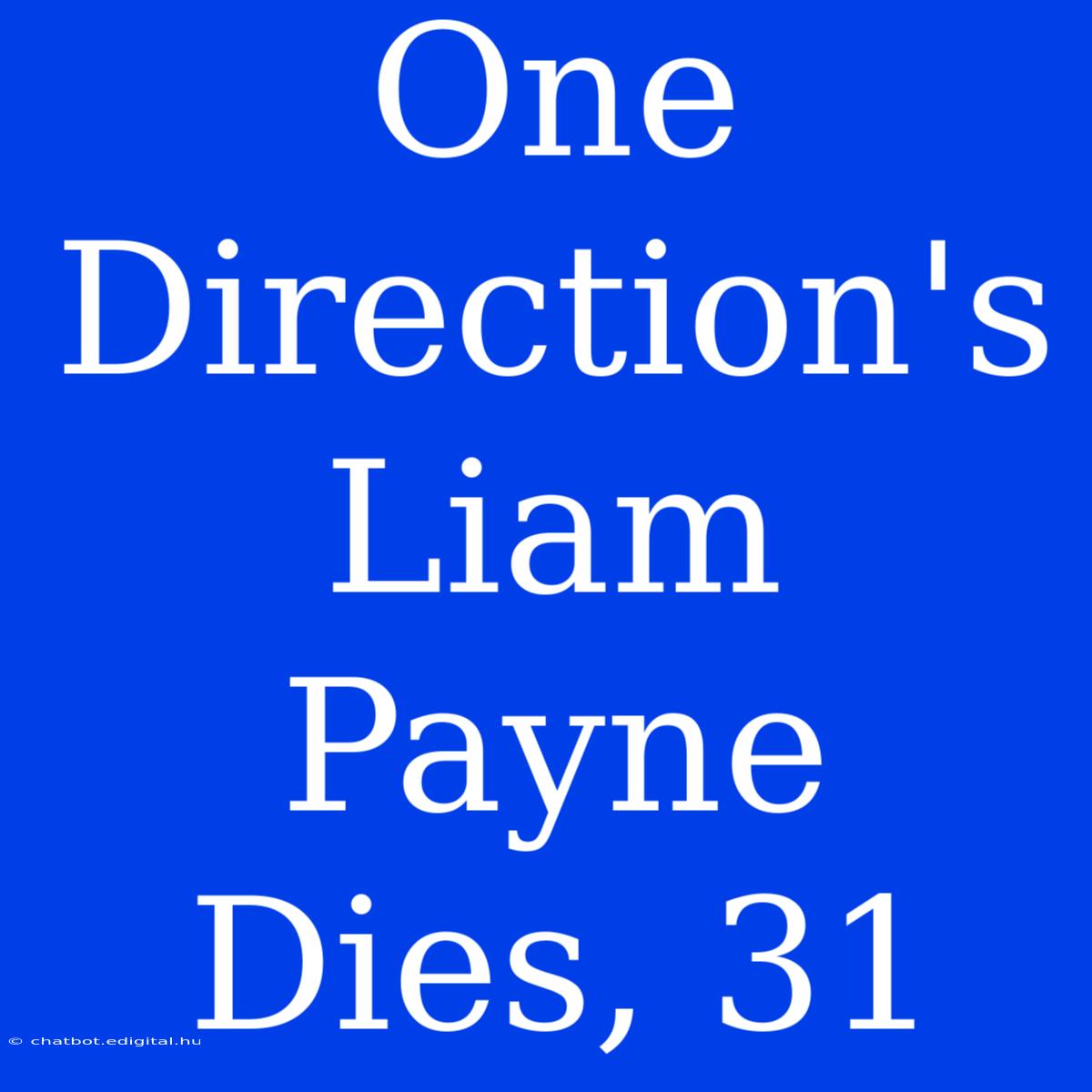 One Direction's Liam Payne Dies, 31