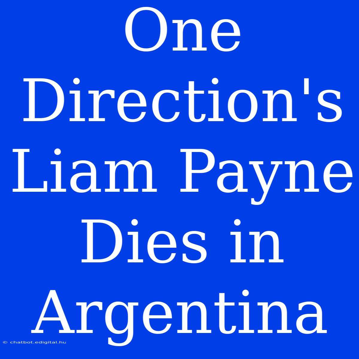 One Direction's Liam Payne Dies In Argentina