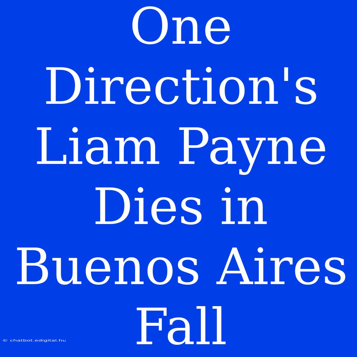 One Direction's Liam Payne Dies In Buenos Aires Fall