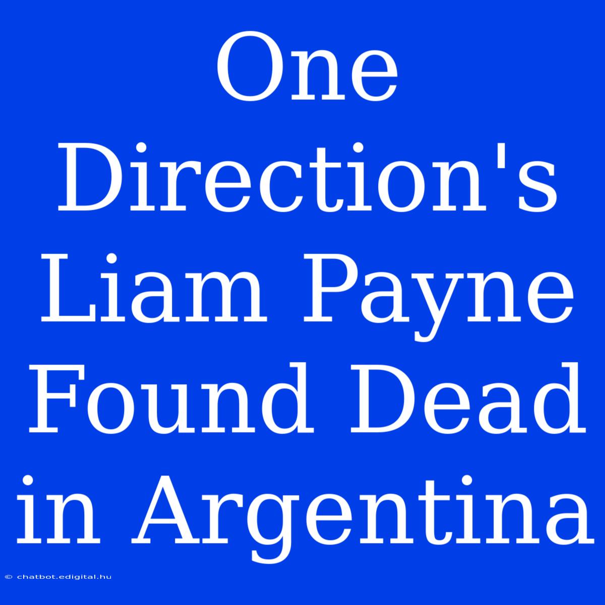 One Direction's Liam Payne Found Dead In Argentina