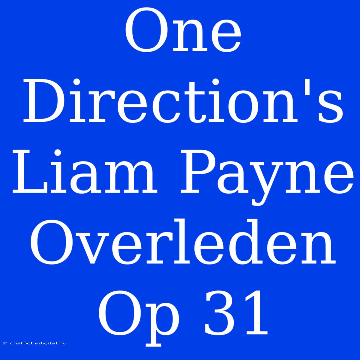 One Direction's Liam Payne Overleden Op 31 