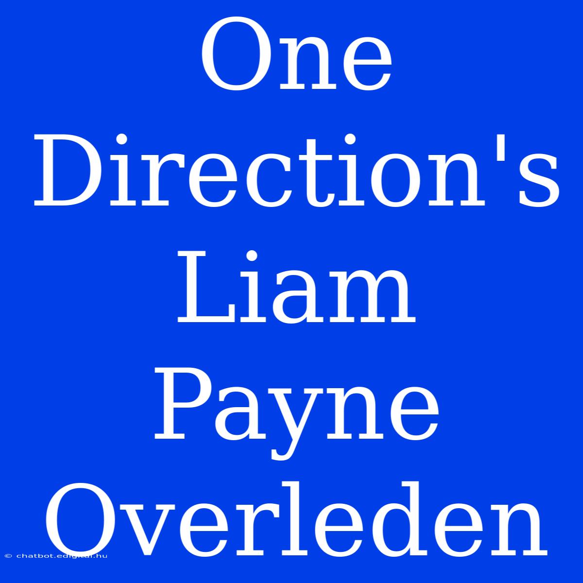 One Direction's Liam Payne Overleden 