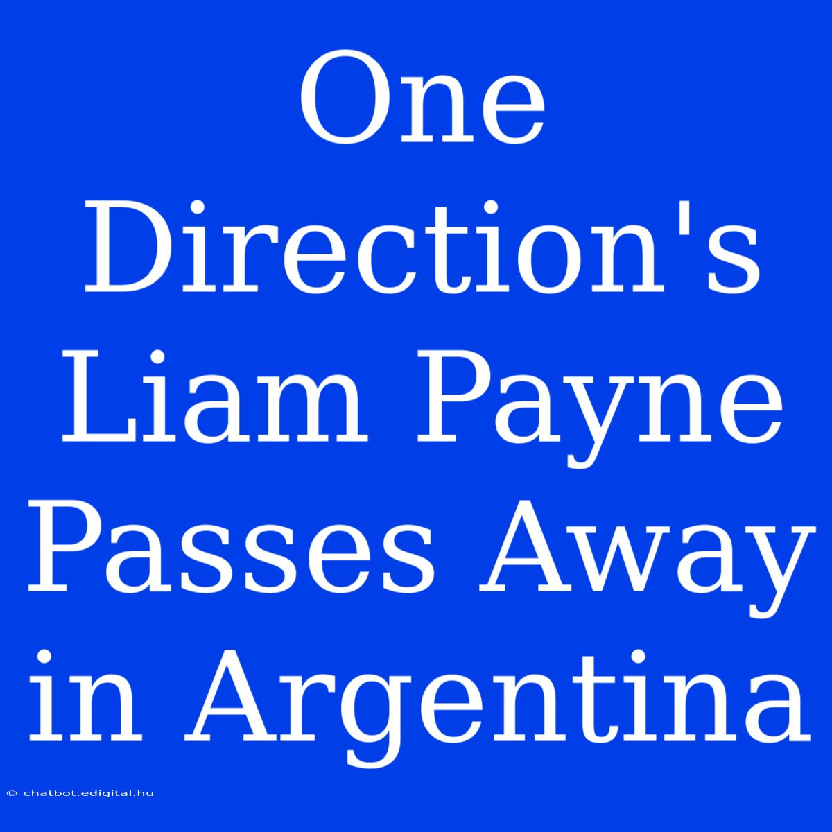 One Direction's Liam Payne Passes Away In Argentina