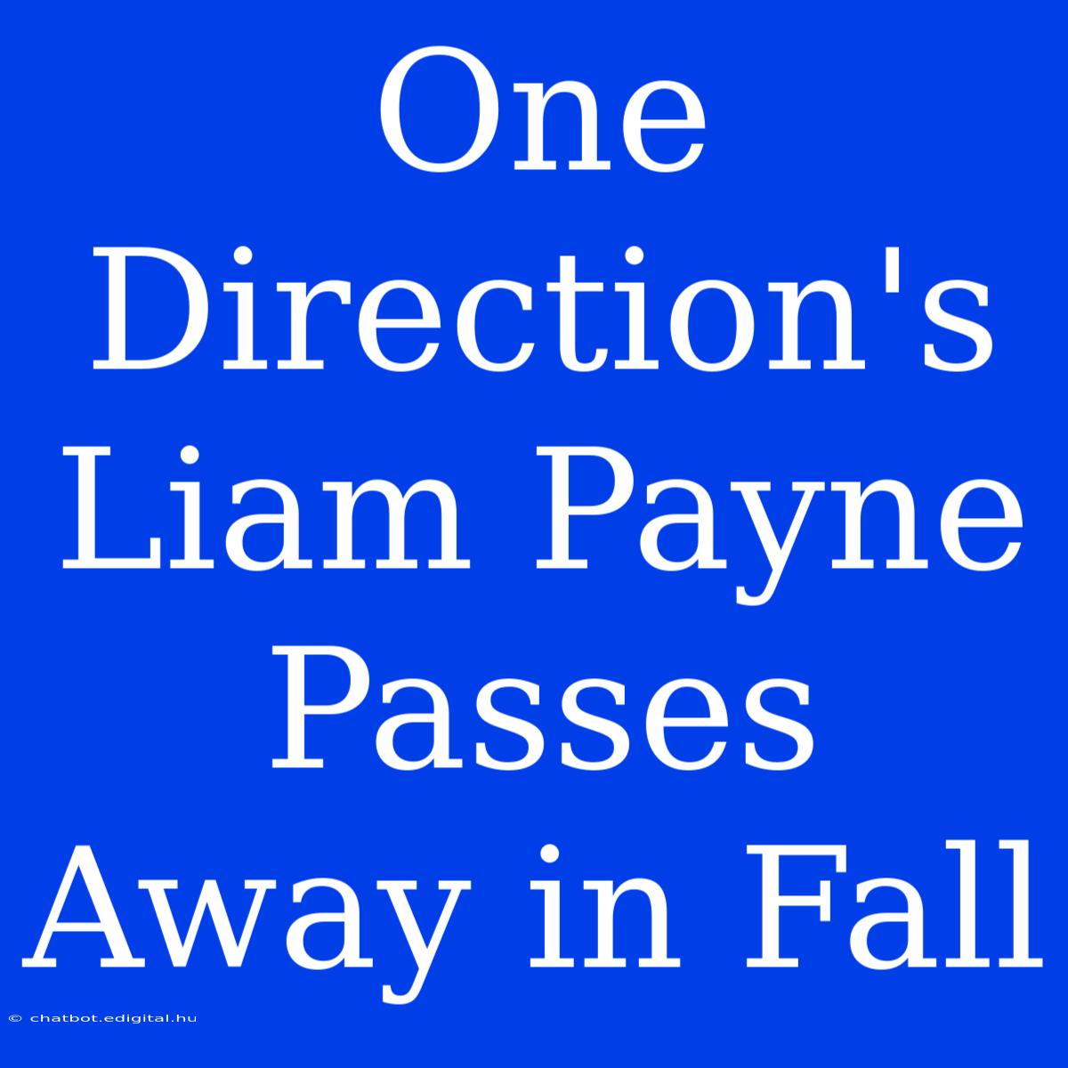 One Direction's Liam Payne Passes Away In Fall 