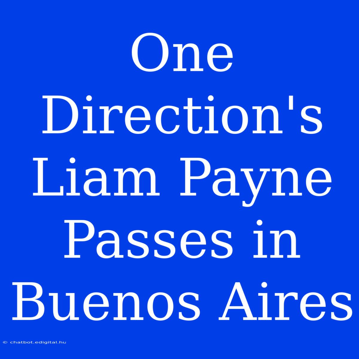 One Direction's Liam Payne Passes In Buenos Aires