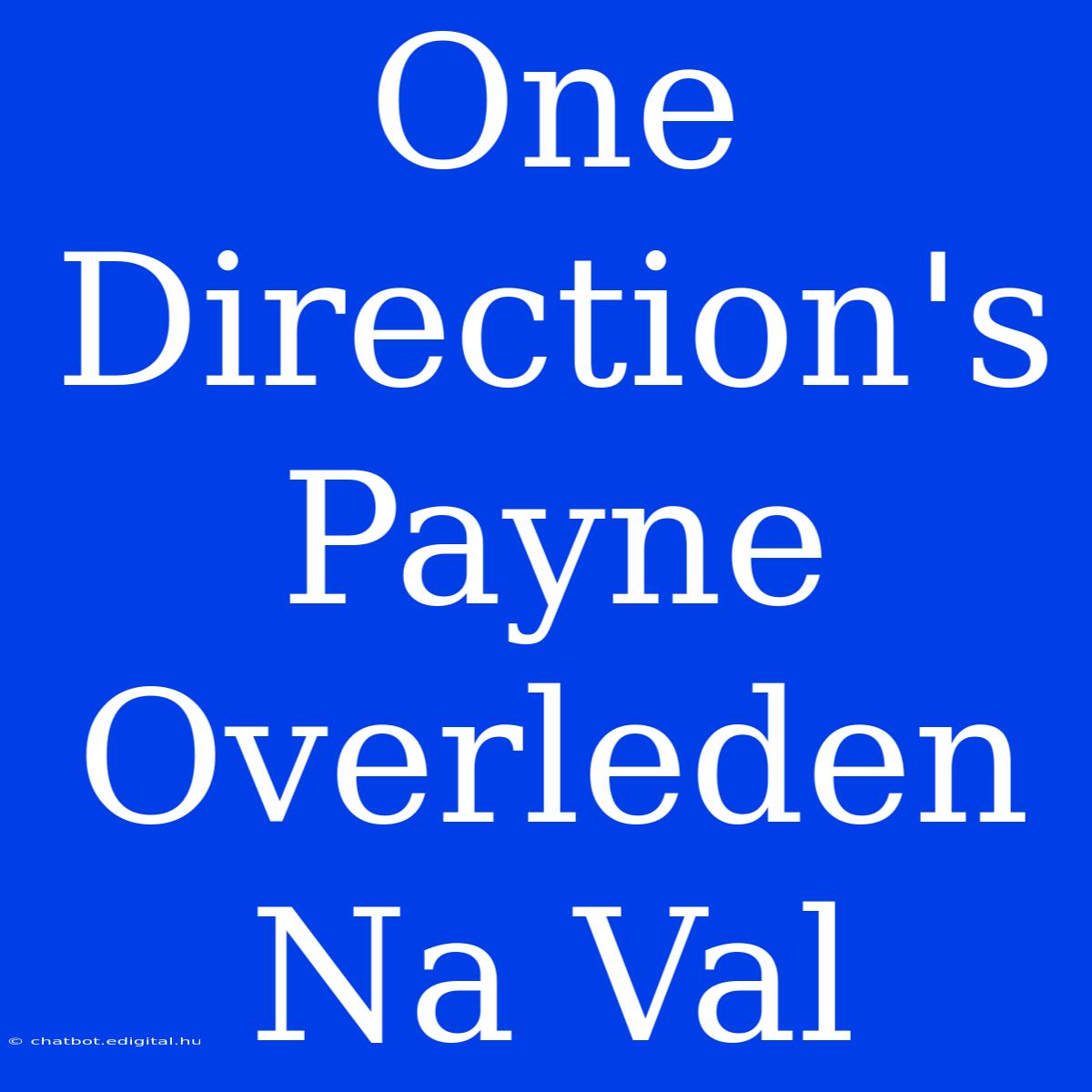 One Direction's Payne Overleden Na Val